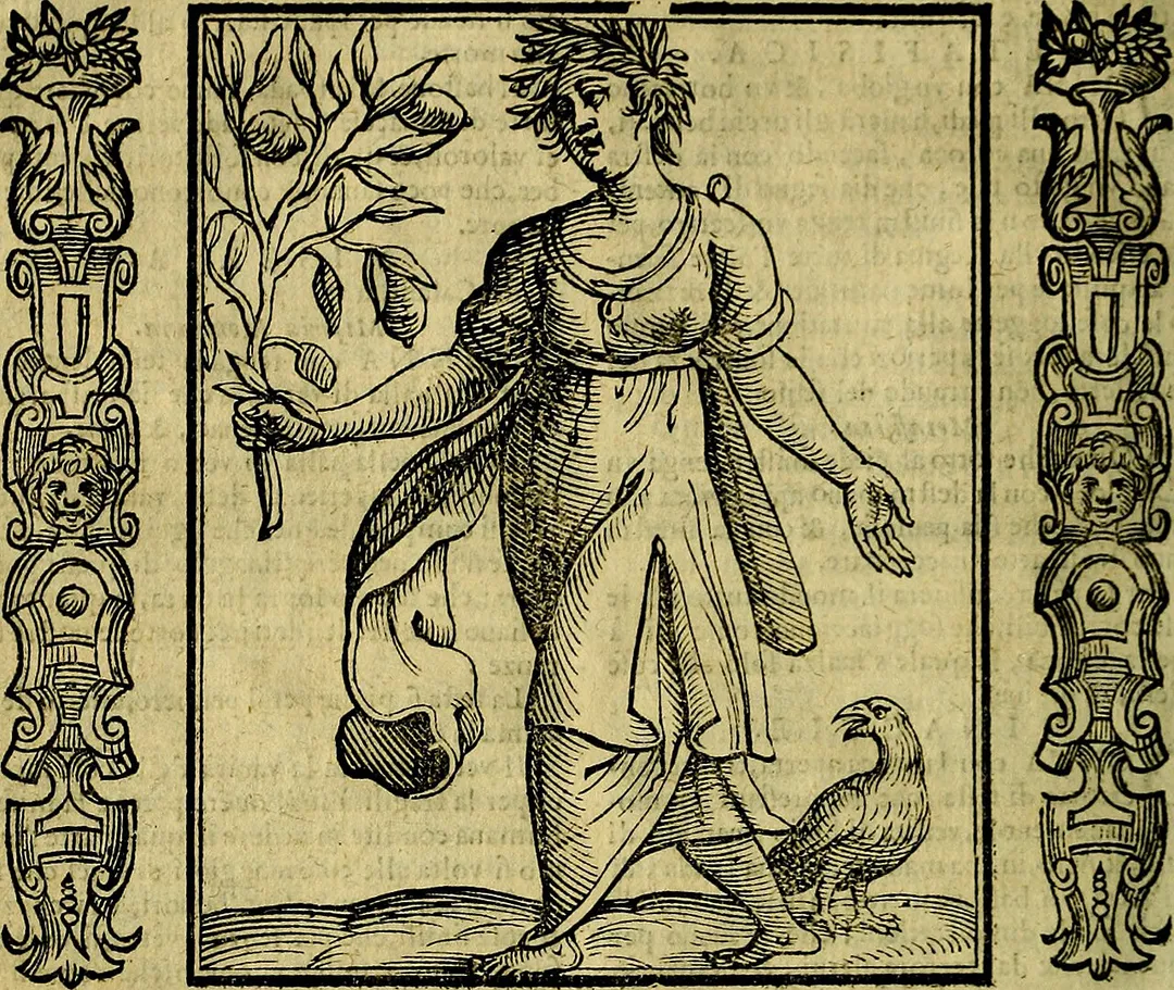 Identifier: novaiconologia18ripa (find matches)
Title: Nova iconologia
Year: 1618 (1610s)
Authors:  Ripa, Cesare, 1560-1645 Duke University. Library. Jantz Collection Duke University. Library. Gilbert Collection
Subjects:  Emblem books, Italian Emblems
Publisher:  In Padova : per P. P. Tozzi, nella stampa del Pasquati
Contributing Library:  Duke University Libraries
Digitizing Sponsor:  Duke University Libraries

View Book Page: Book Viewer
About This Book: Catalog Entry
View All Images: All Images From Book
Click here to view book online to see this illustration in context in a browseable online version of this book.

Text Appearing Before Image:
volta alle colè maggiori di quel che fo»no,ftiniando gran cofaj*fhonori,le ricchezze*&amp; cofe fimilijche poi fenza rhvetro,fi vede chefono vanità,&amp; miferia , ouero,che tome il ve-tro non termina la vifta diquello,che vi gnarda, per efTer corpo diafaiiOiCosì le ricchezze,&amp;beni del mondo non danno mai termine à na-fta penfieri,anzi,che tuttauiaaccrefeono il de-fiderio di paflàrealianti, e con quefto infelicecontinuo filinolo ci conducemo mileramentcalla morte. La borfa, che ella verta, moftra, che comevolgarmente fi crede efière felice chi ha granfacolta.così fi vede eflèr priuo di gran corninodi chi ne è fenza,il che facilmente può fucce.dere à ciafcuuo. Mifericordia.Vedi le Beatitudini. MISERICORDIA. DONNA di carnagione bianca , haueràgli occhi groflì,&amp; il nafo alquanto aquilino>con vna ghirlanda doliua in capotandocon le braccia aperte , ma tenga con la deftramano vn ramo di cedro con il frutto, à canto V v vi $ 3 8 Iconologia diGef Ripa MISERICORDIA.
Text Appearing After Image:
fi (aràTvccdlo pola , onero cornacchia. Mifericordia è vn affetto dellanimo com-paffioneuole verfo laltrui male .comedice S.Giouanni Damafceno Iib.i.cap. i4« La carnagione bianca, glocchi groffi, &amp; ilmfo.aquilino.fecondo il detto di Ariftotele alcapo fefto de fifonomia, fignifi.ca.no inclinano-ne alla Mifericordia. Laghirlanda doliuo.che tiene in capo, è ilvero hmbolo della Mifericordia nel le iacrc lettere,allc qual» fi deue lobligo della cognitio-ne vera diquefta Canta virtù,&amp; il. ramo di ce-dro lignifica il medefirno, comefa fede Picrio.Valcnano,oue tratta del cedro • Lo ftare con le braccia aperredinota che laMifericordia è à guifa di Giesù Chrifto Re-dentornoftro, cheia vera Mifericordia, conprotezza cafperta fempre con le braccia apcrtc,per abbracciar tutti,e fouuenir allemiferic«oftre, &amp; Dante nel canto J. del Purgat. fo-pra di ciò così dice * Rerribilfuron li pecette miei Mala bontà infinita basì gran bracci* Che prende ciò che fi riitolge à lei .

Note About Images

Please note that these images are extracted from scanned page images that may have been digitally enhanced for readability - coloration and appearance of these illustrations may not perfectly resemble the original work.