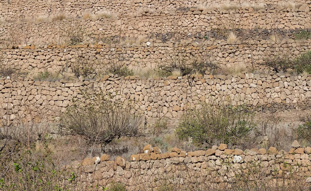 Terraces. Arafo, Tenerife, Spain