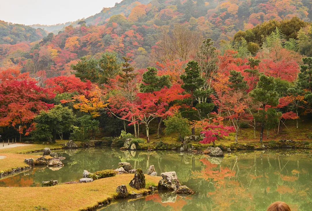Sōgenchi Garden pond at Tenryū-ji temple, with moss-covered rocks and Japanese maple trees in autumn foliage.