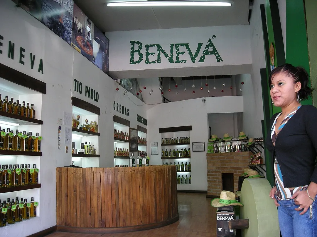 A Benevá mezcal dealer in Oaxaca, Oaxaca
