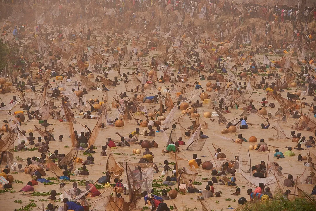 The famous Argungu fishing festival holding yearly in Birnin Kebbi, Nigeria.