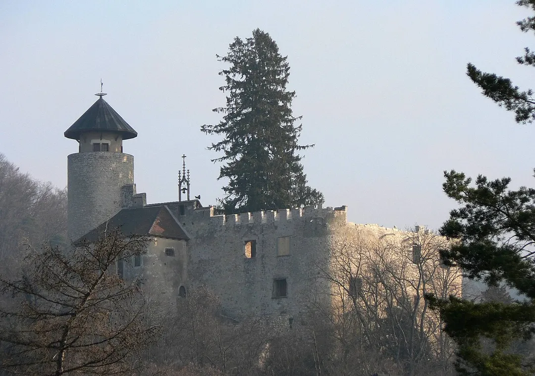 Photograph of Castle Birseck near Arlesheim(BL), Switzerland