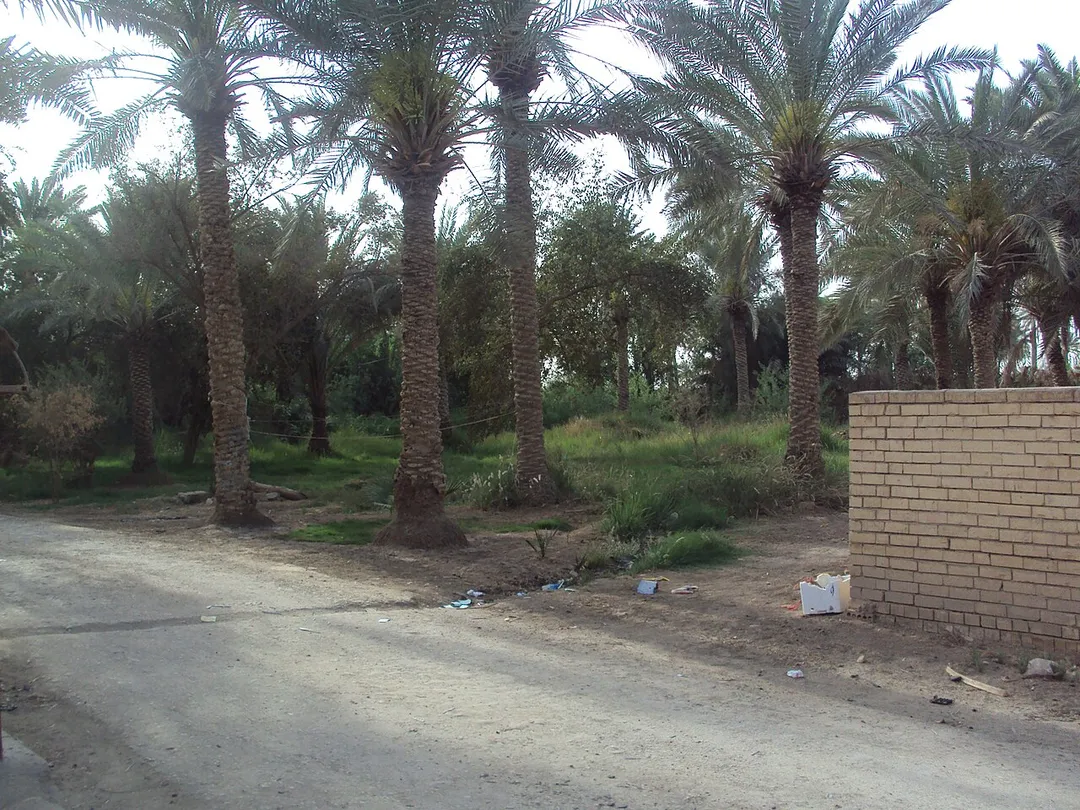 صورة ملتقطه في المهناوية