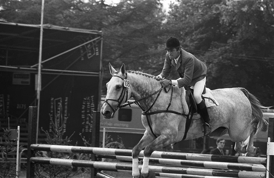 Collectie / Archief : Fotocollectie Anefo
Reportage / Serie : [ onbekend ]
Beschrijving : CHIO Rotterdam
Datum : 4 september 1971
Locatie : Rotterdam, Zuid-Holland
Trefwoorden : concoursen, paarden
Instellingsnaam : CHIO
Fotograaf : Verhoeff, Bert / Anefo
Auteursrechthebbende : Nationaal Archief
Materiaalsoort : Negatief (zwart/wit)
Nummer archiefinventaris : bekijk toegang 2.24.01.05

Bestanddeelnummer : 924-9035