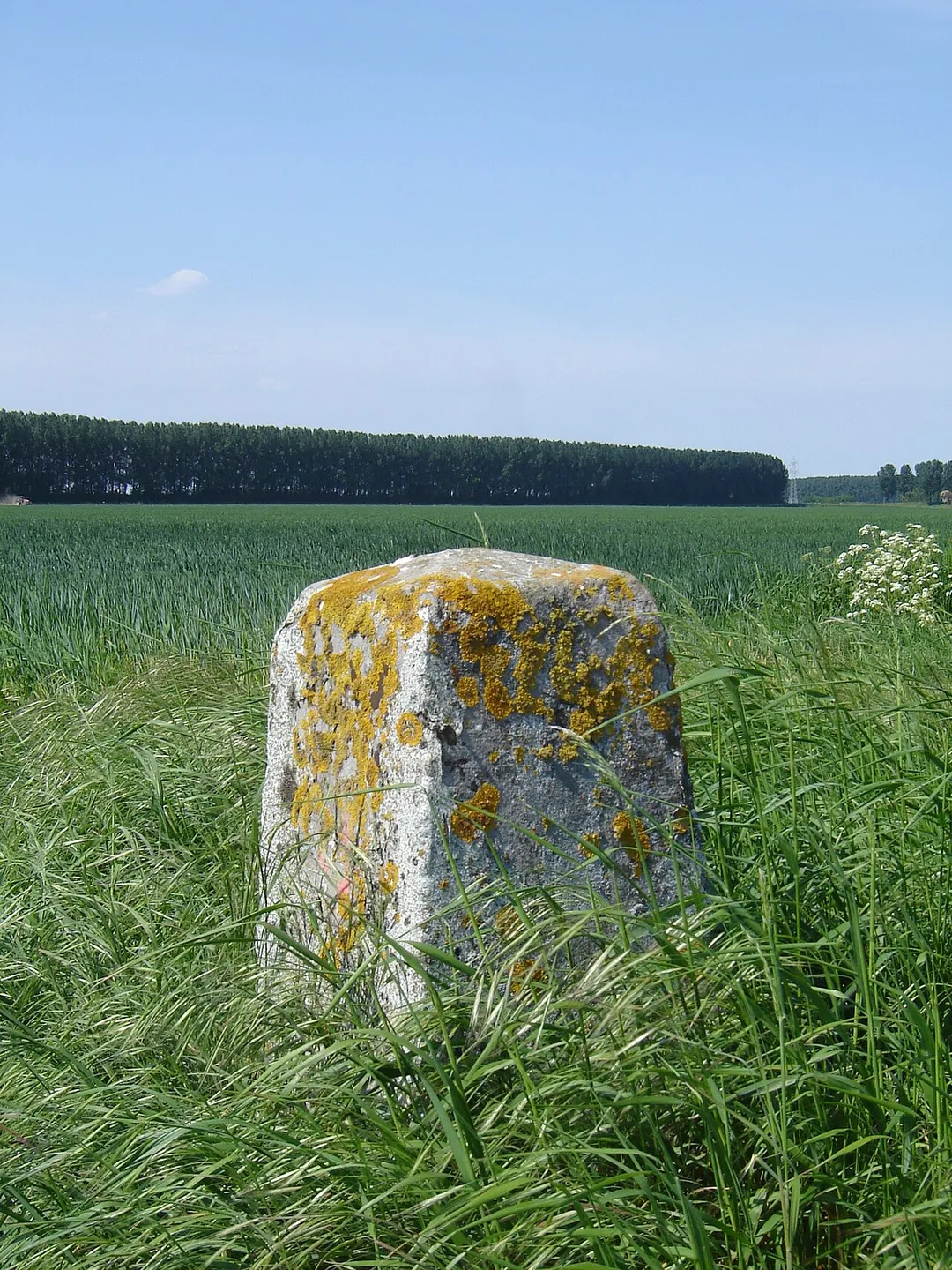 Border stone on the Belgian-Dutch border. Intermediate stone no. 314a, between Assenede, Belgium and Zandstraat, Netherlands.
