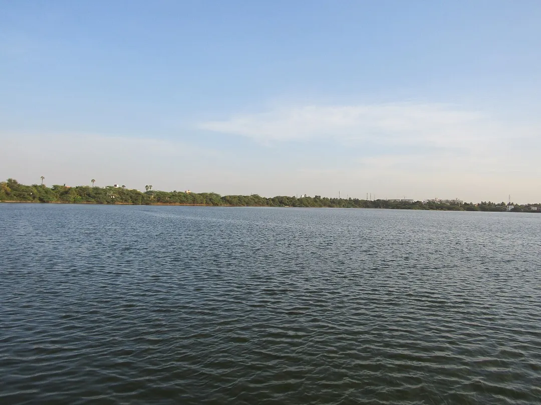 A view of the Avadi lake