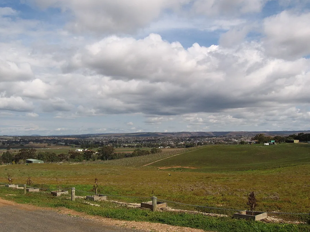en:Bacchus Marsh, Victoria seen from Bacchus Hill winery