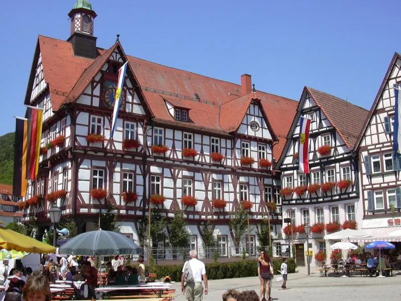 Market place and town hall of Bad Urach during a local festivity ("shepherds' run")