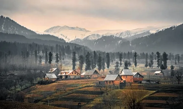 Arizal, Budgam district