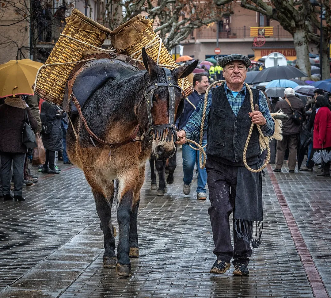 This is a photography of a Folklore festival in Spain (Wikidata id