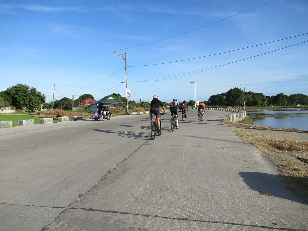 Apalit Bypass Road (Pulong Camatchile Dungan, Balucuc) is part of Apalit Bypass Road  is a newly opened (October 18, 2021, though partially)   4-lane, 3.326-kilometer bypass road that runs along barangays Balucuc (Nuestra Señora de la Divina Pastora), Cansinala (Nuestra Señora del Rosario) and Tabuyuc (Santo Rosario),  Apalit, Pampanga (this has sharp curves and surrounded by paddy fields in Barangays Balucuc, Cansinala and Tabuyuc).