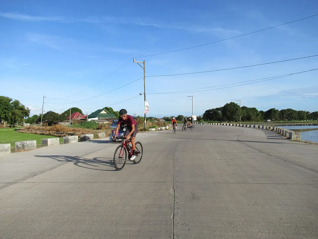 Apalit Bypass Road (Pulong Camatchile Dungan, Balucuc) is part of Apalit Bypass Road  is a newly opened (October 18, 2021, though partially)   4-lane, 3.326-kilometer bypass road that runs along barangays Balucuc (Nuestra Señora de la Divina Pastora), Cansinala (Nuestra Señora del Rosario) and Tabuyuc (Santo Rosario),  Apalit, Pampanga (this has sharp curves and surrounded by paddy fields in Barangays Balucuc, Cansinala and Tabuyuc).