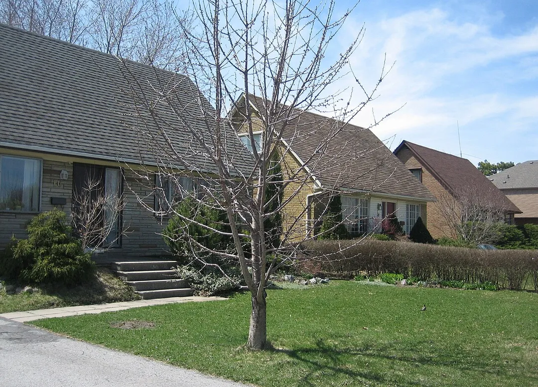 Houses in w:Don Mills
