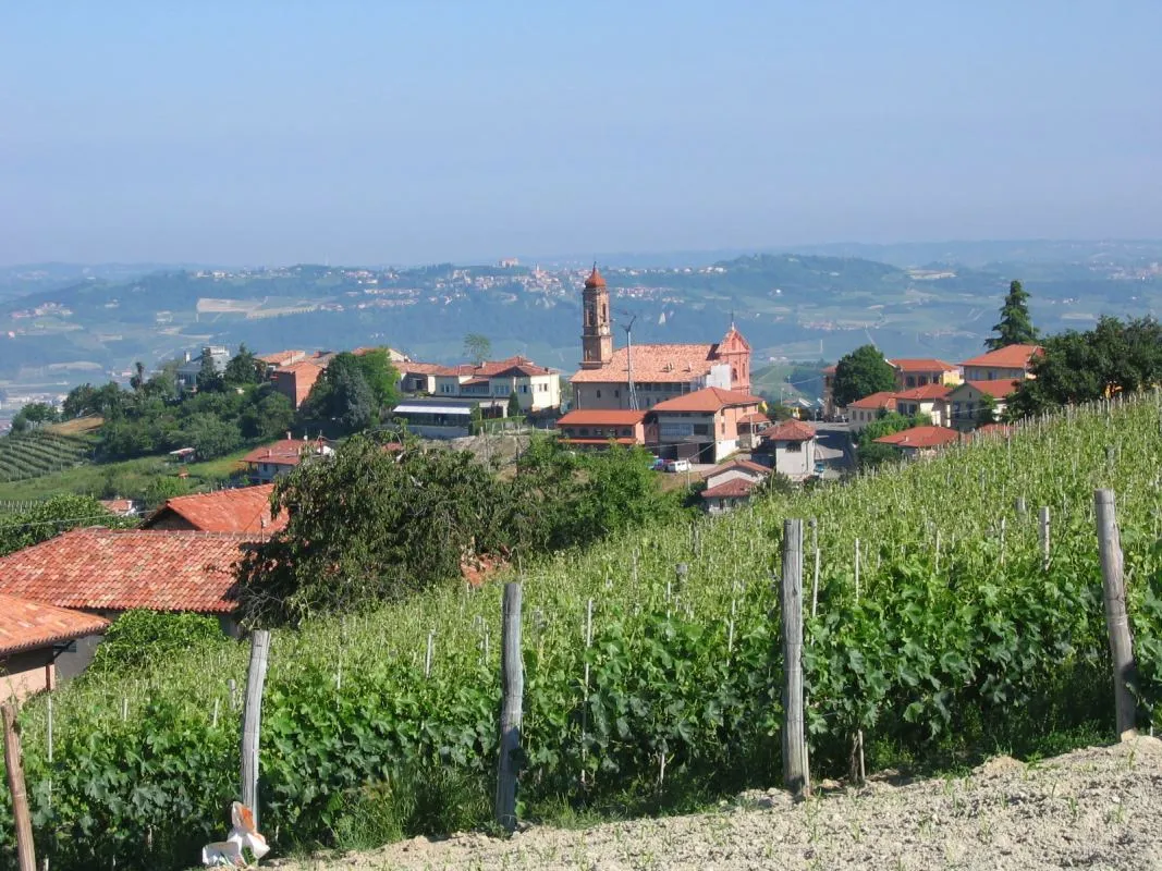Photo of Barbaresco