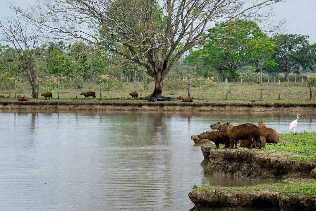 Barinas, Venezuela