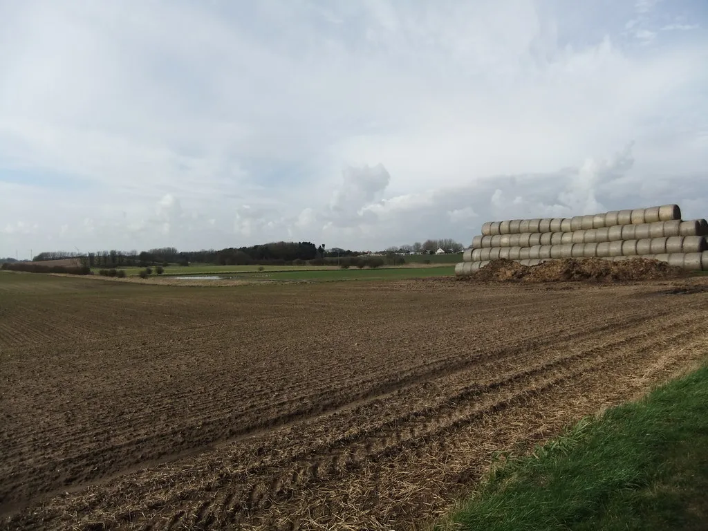 Southfield, Barmston, East Riding of Yorkshire, England.