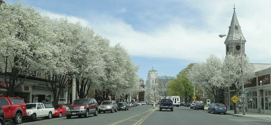 Main Street, Great Barrington, Massachusetts, in the spring of 2011.
These impressive flowering pear trees were removed around 2015, during the Main Street Reconstruction Project.