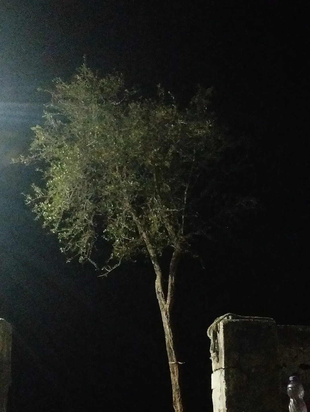 Barwala, Rajasthan (village in Rajasthan, India)