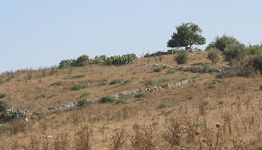 The ruins of Bayt Jibrin, 2005