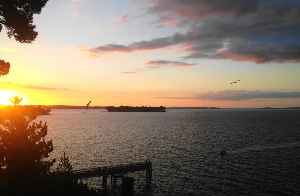 View from Beachlands overlooking the Hauraki Gulf