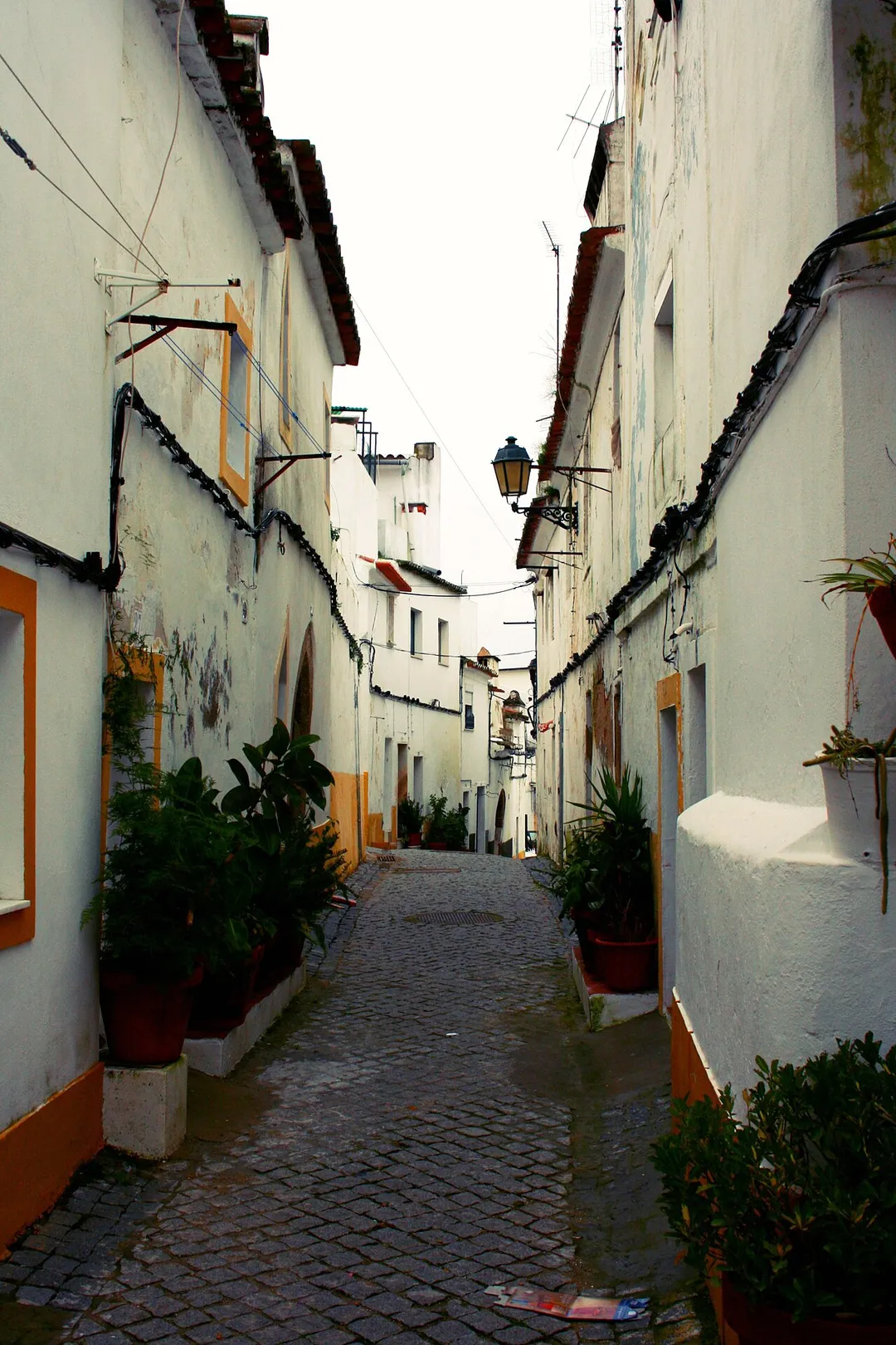 Rua dos Beatos, Elvas