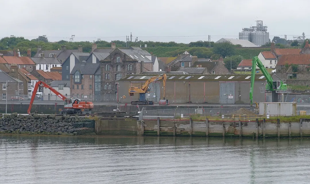 Long-legged diggers seen across the Tweed in Berwick-upon-Tweed.