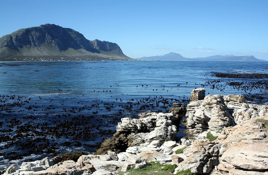 Betty's Bay, South Africa. April 2012. Photo by Winstonza talk
