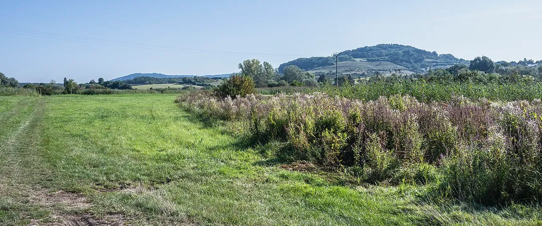 Valley of the river Syre near Uebersyren: Wetland area Schlammwiss in the Luxembourg commune of Schuttrange. Kréckelsbierg, geologically speaking an outlier, is seen in the background. Schlammwiss harbours the largest reedbed in Luxembourg.