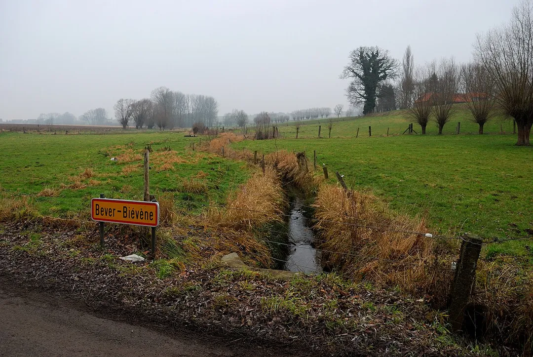 Eisbroekbeek creek on the border of the Belgian communes of Bever and Herne (subcommune of Sint-Pieters-Kapelle). Nikon D60 f=18mm f/5.6 at 1/125s ISO 400. Processed using Nikon ViewNX 1.5.2.