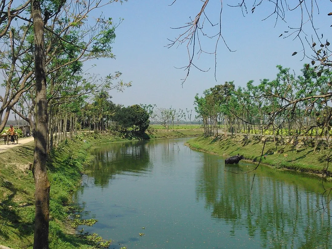 Rural Beauty of Bangladesh.