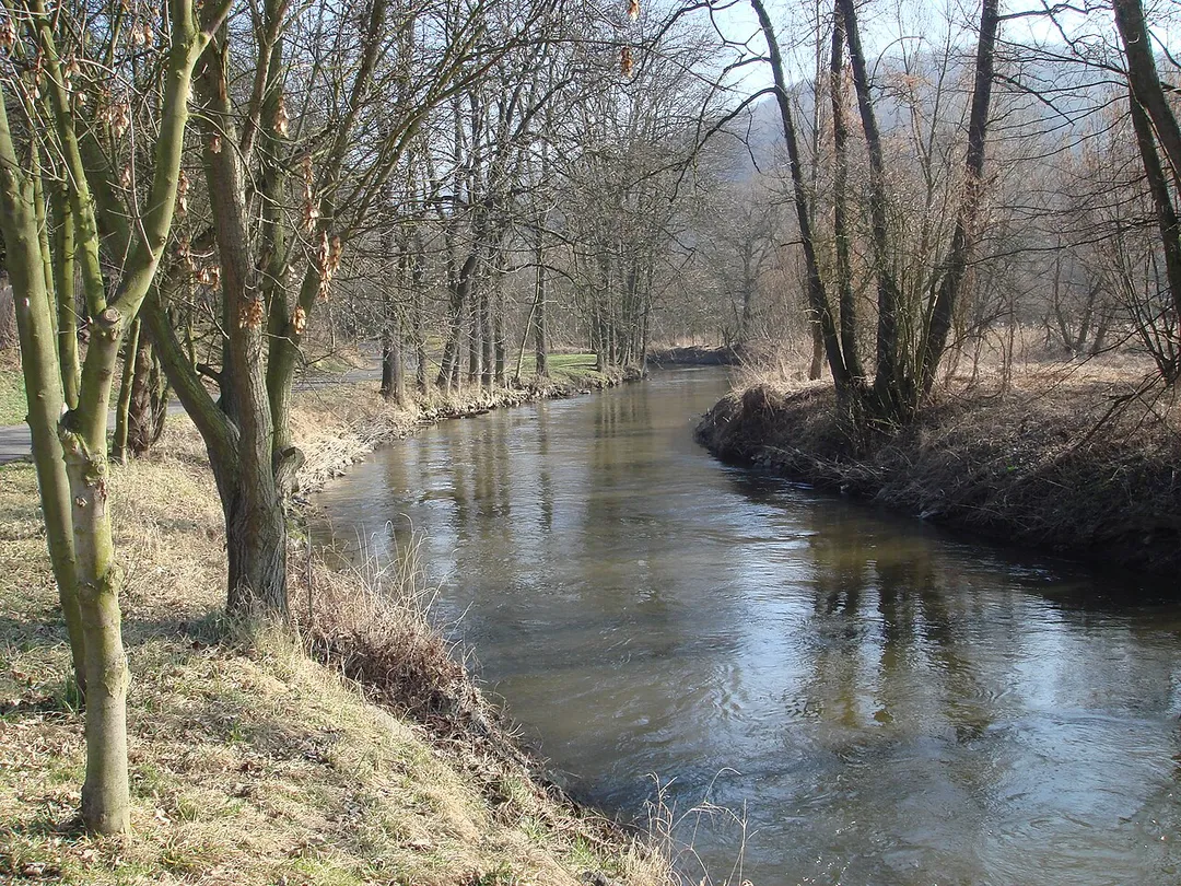 The river Bílina in Stadice (Ústí nad Labem Region, Czech Republic).