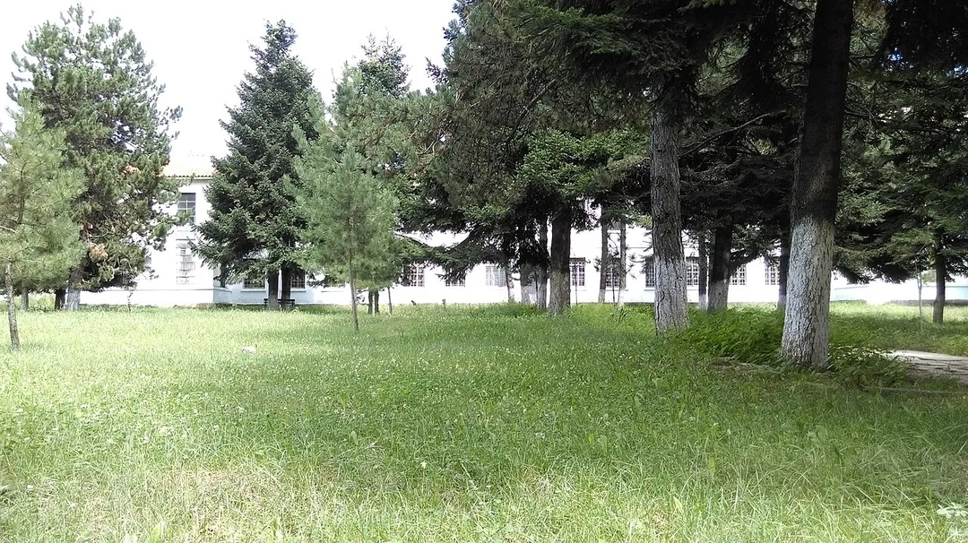 Bilisht