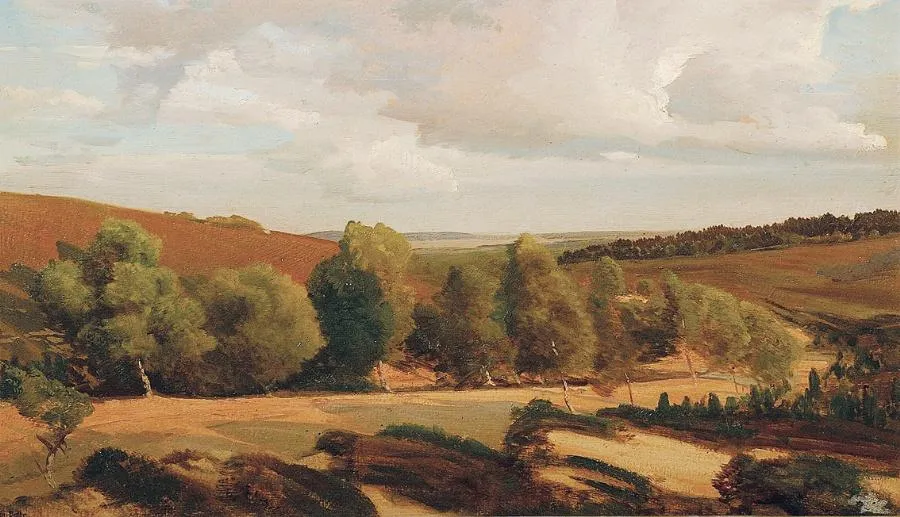 Ansicht der Wilseder Höhe in der Nordheide