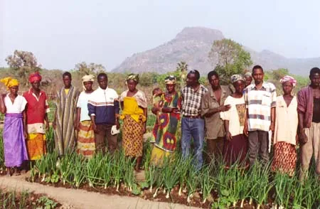 Onion farmers in Bissikrima, Guinea