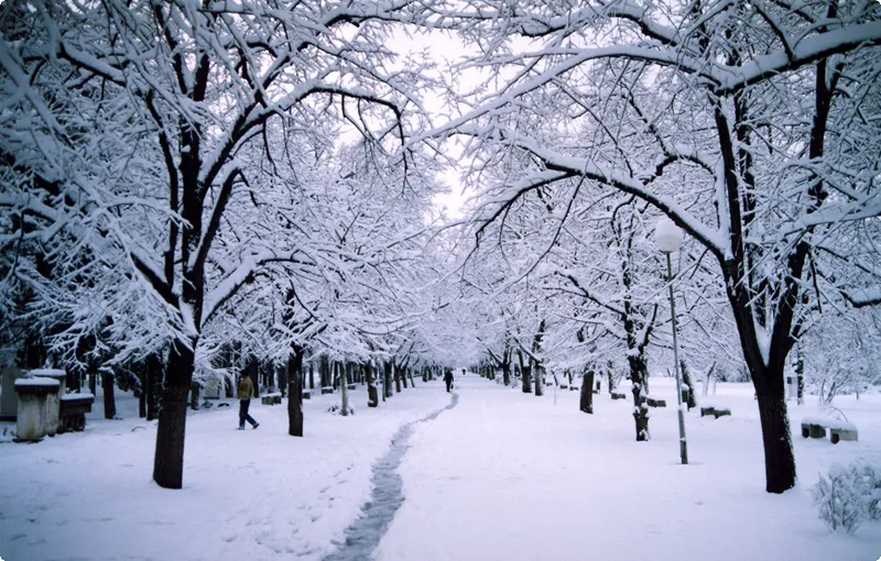 Bitola's main park in winter.