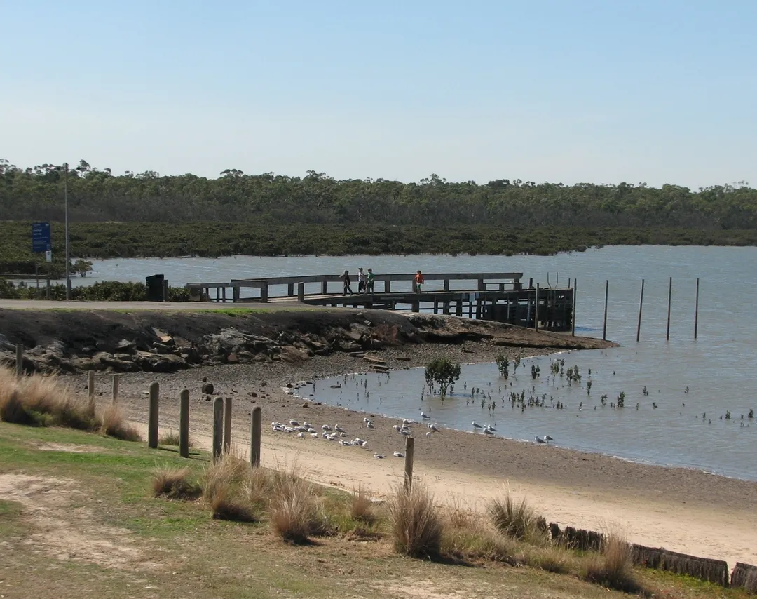 Jetty, boat ramp and mangroves, Blind Bight, Victoria, Australia