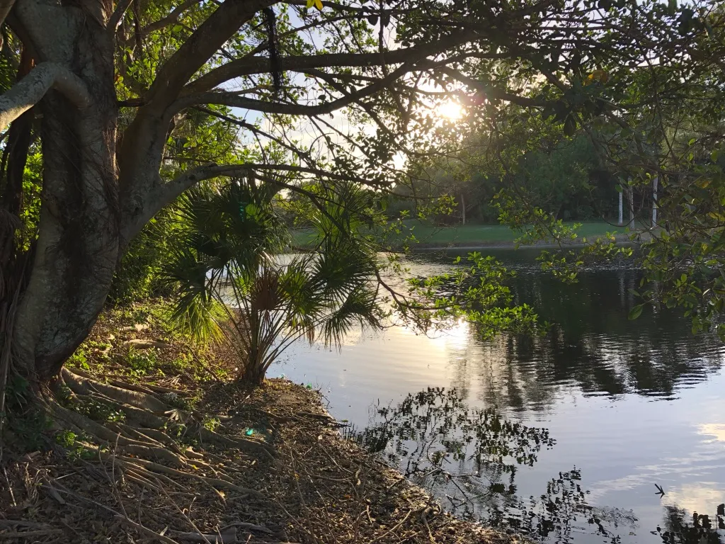 Sunset on the Pond, Parque Placido, Boca Del Mar, FL