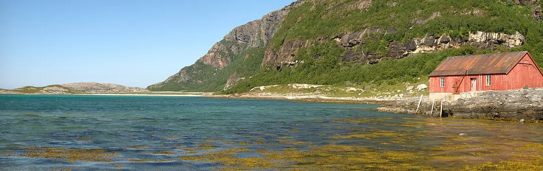 Mjeldevika