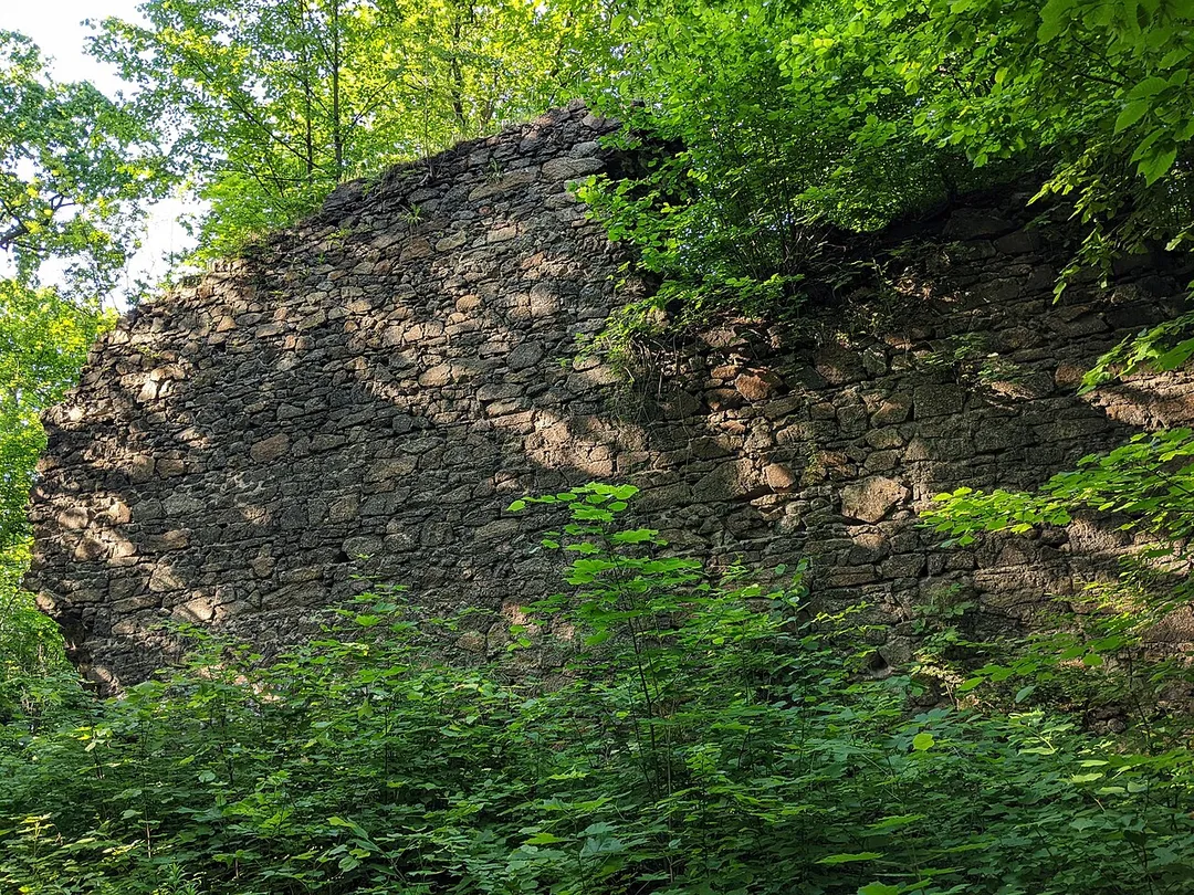 Ronov u Žitavy (Rohnau, Trzciniec) - pozůstatky hradu u vsi Trzciniec Górny (červen 2023)