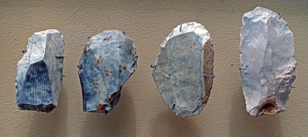The two main tools in the Bohunician culture were the point and the scraper, four examples of which are shown here, which were used mainly for scraping skins in the leather making process, and for smoothing wood for spear shafts and other wooden tools. Anthropos Pavilion/Moravian Museum, Brno, Czech Republic
