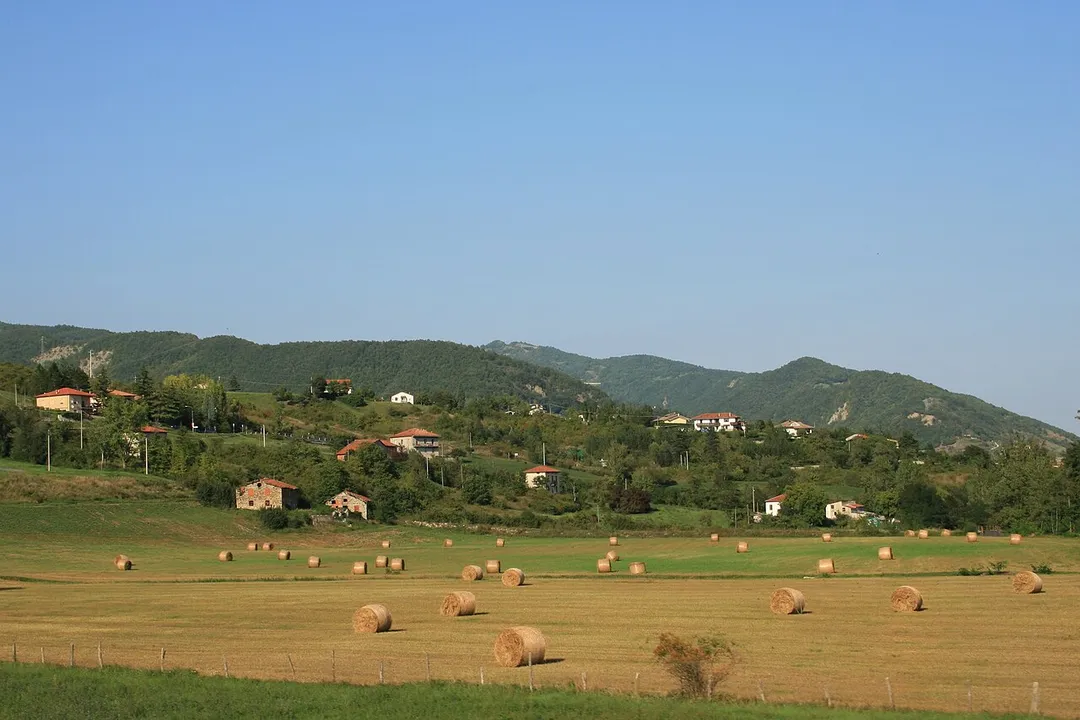 The fields surrounding the Italian town of Borgo Val di Taro, Parma. Hay is grown and harvested around the area for animal feed required during winter. 
Cattle are a very important resource in the cities and towns surrounding Parma, where the ancient, highly prized cheese Parmigiano Reggiano is made.

Taken by me in September 2006.
