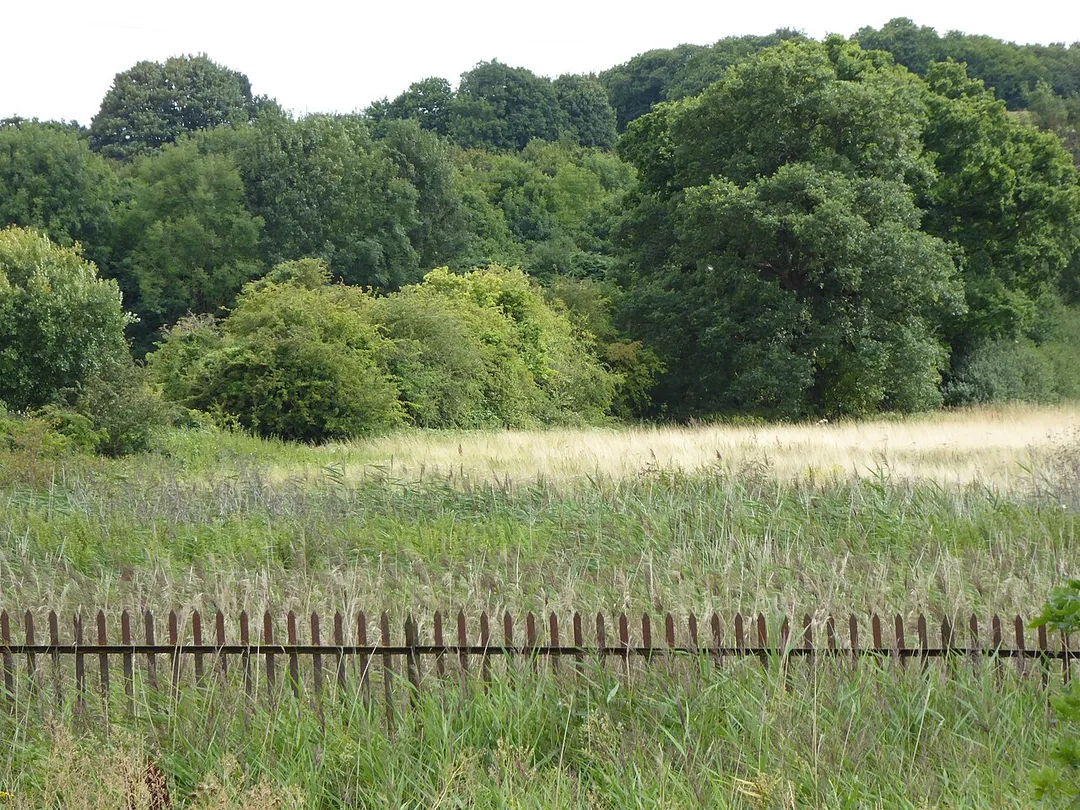Bourne Park Reed Beds is a Local Nature Reserve in Ipswich in Suffolk.