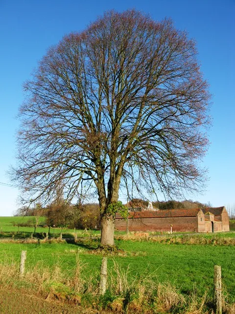 Boutersem Kerkomsesteenweg 339