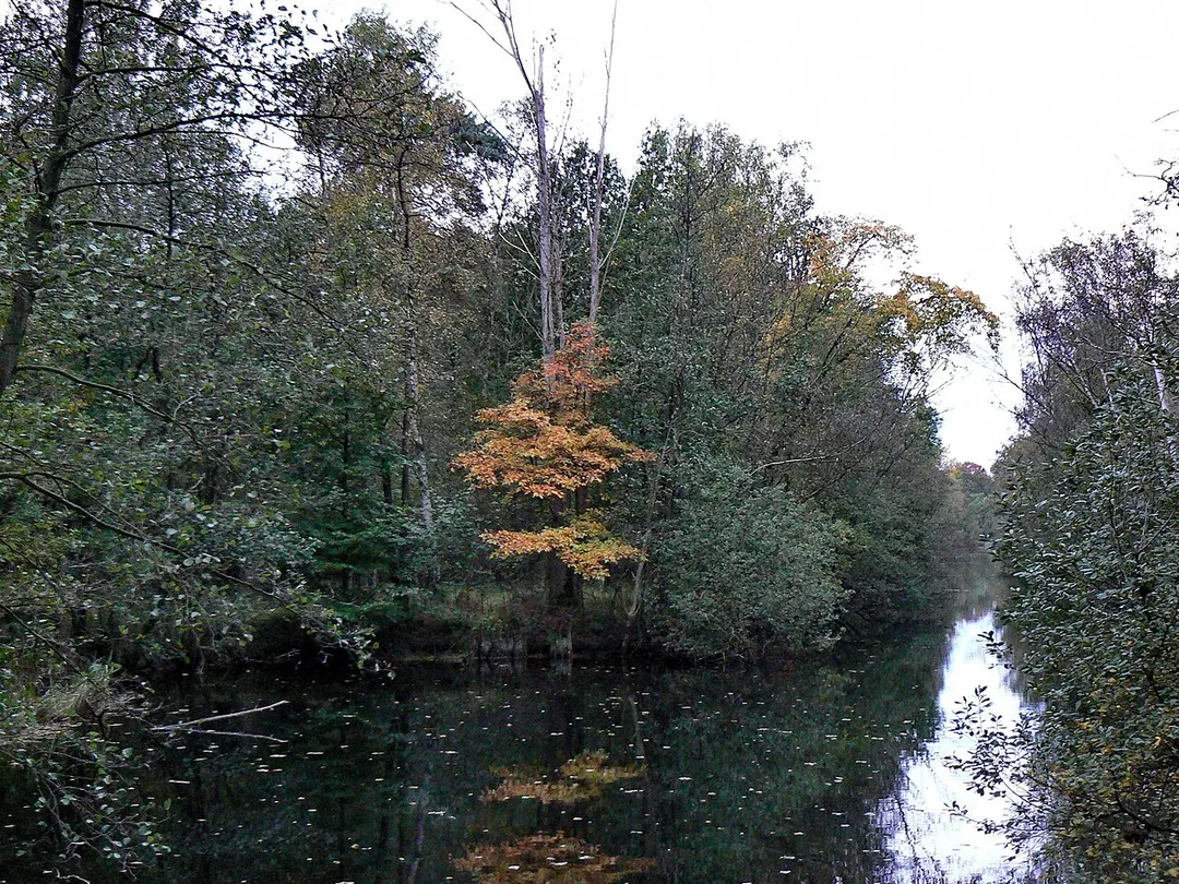 Antitankgracht, De Inslag, Brasschaat (Belgium)