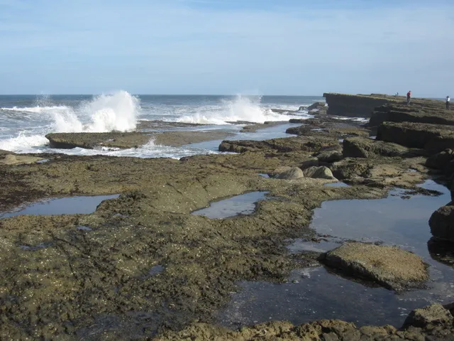 Filey Brigg - Washer Brigg and High Brigg