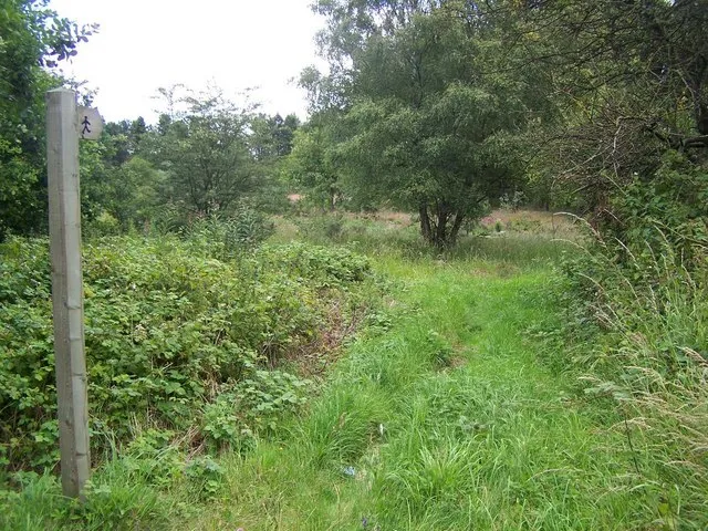 Brownhills Common
