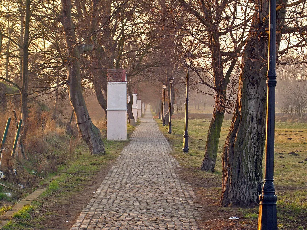 Alejka krzyżowa łącząca Stare Miasto z Warzyniem, Brzeg Dolny