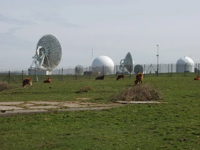 Cattle by GCHQ radio station This site was a World War 2 airfield, RAF Cleave. It is now GCHQ Composite Signals Organisation Station Morwenstow (being renamed GCHQ Bude).