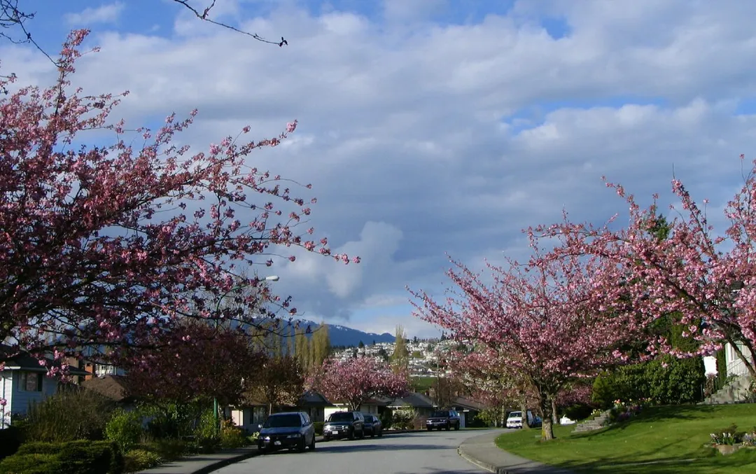 Photo of Burnaby