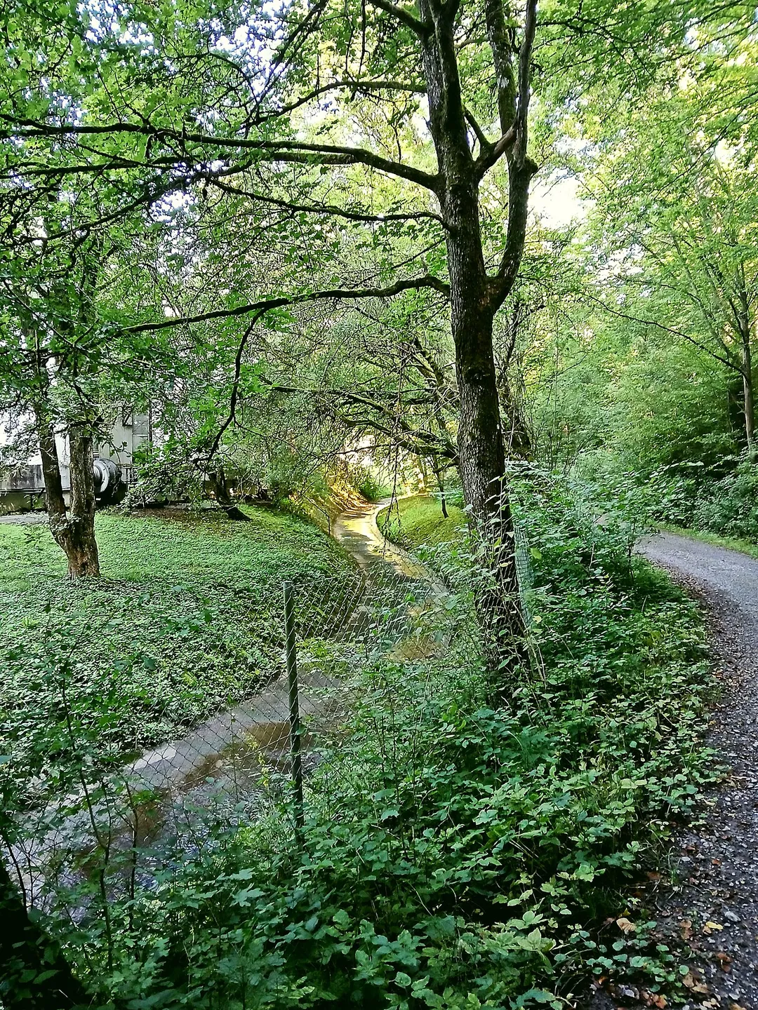 Katzenbachtal bei Büsnau